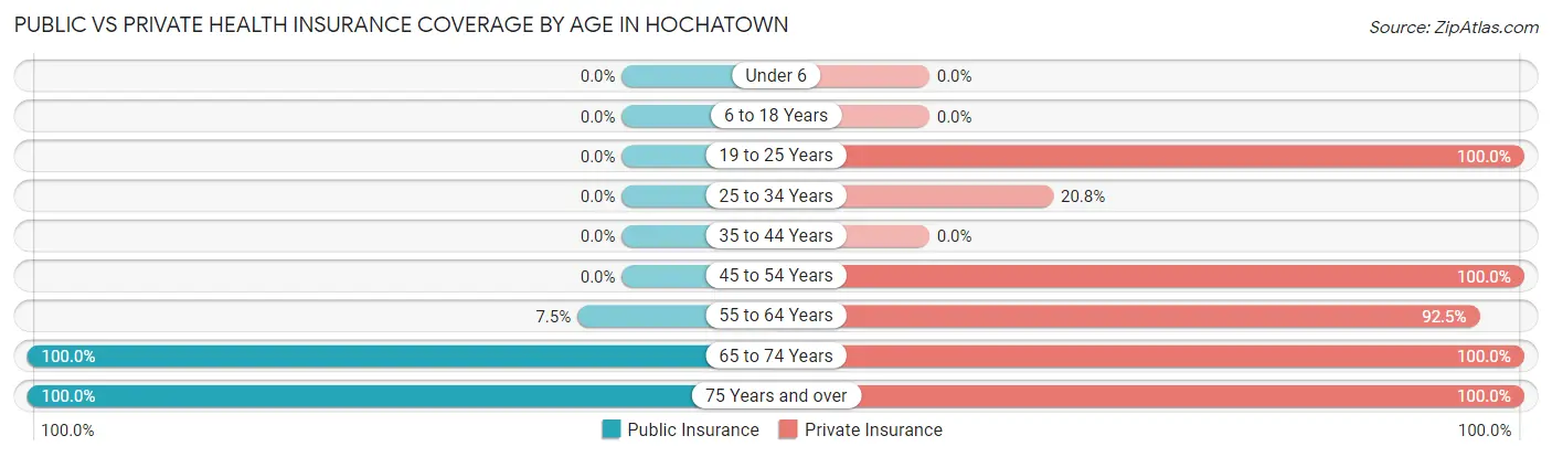 Public vs Private Health Insurance Coverage by Age in Hochatown