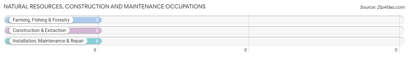 Natural Resources, Construction and Maintenance Occupations in Hodgen