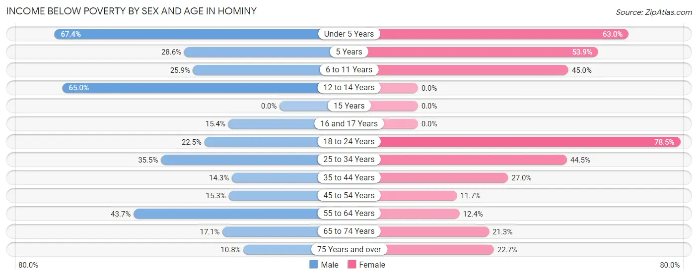 Income Below Poverty by Sex and Age in Hominy