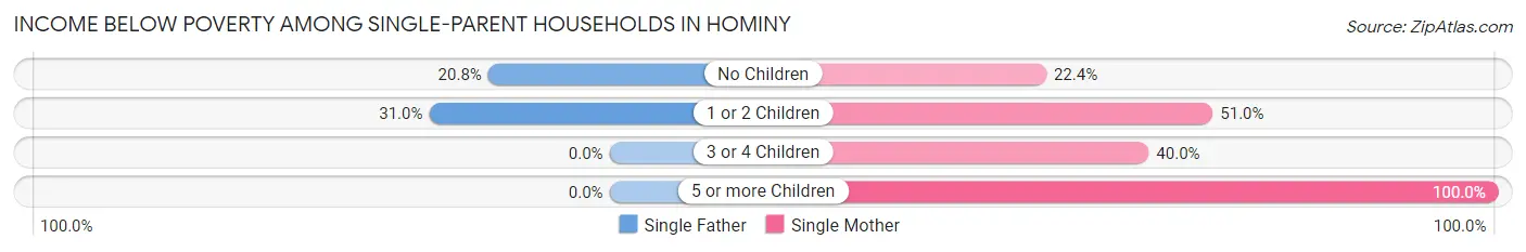 Income Below Poverty Among Single-Parent Households in Hominy