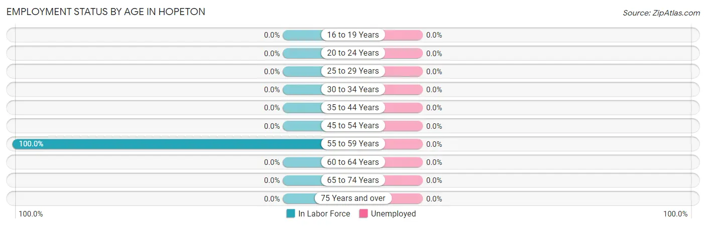 Employment Status by Age in Hopeton