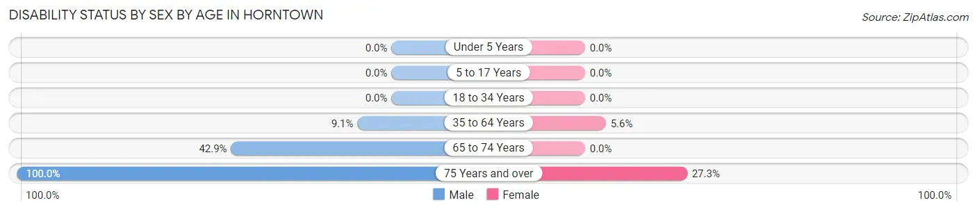 Disability Status by Sex by Age in Horntown