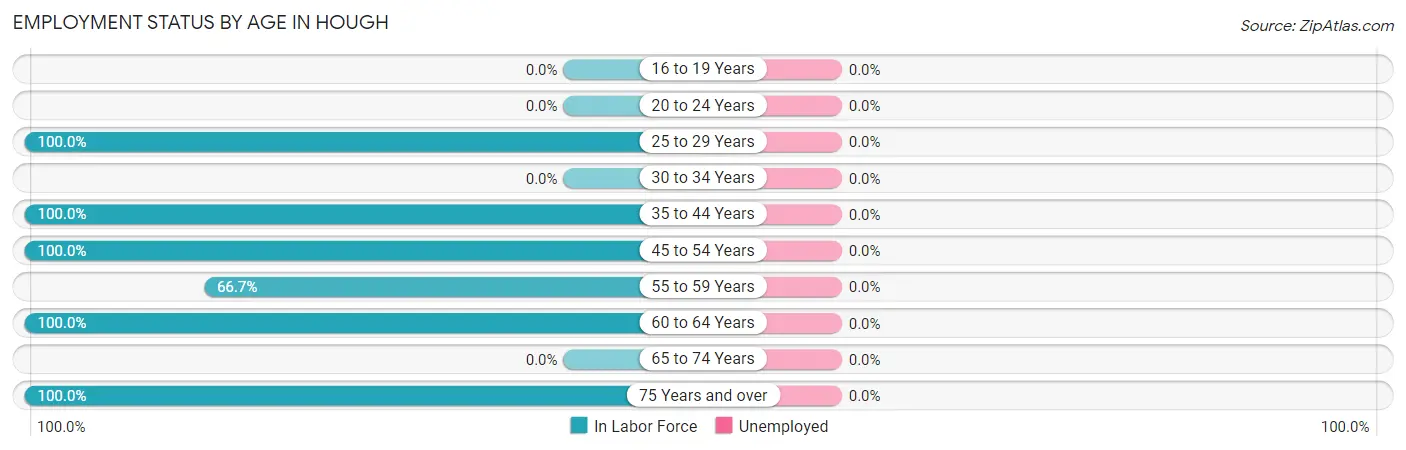Employment Status by Age in Hough