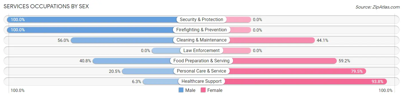 Services Occupations by Sex in Hugo