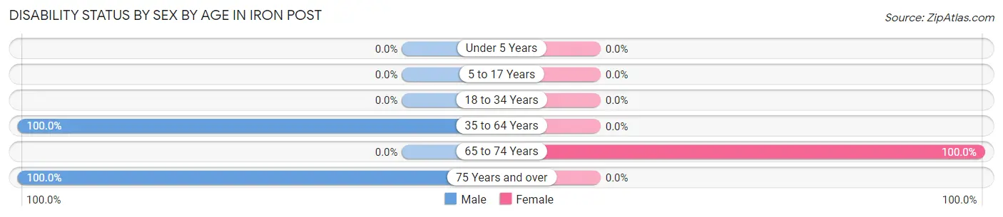 Disability Status by Sex by Age in Iron Post