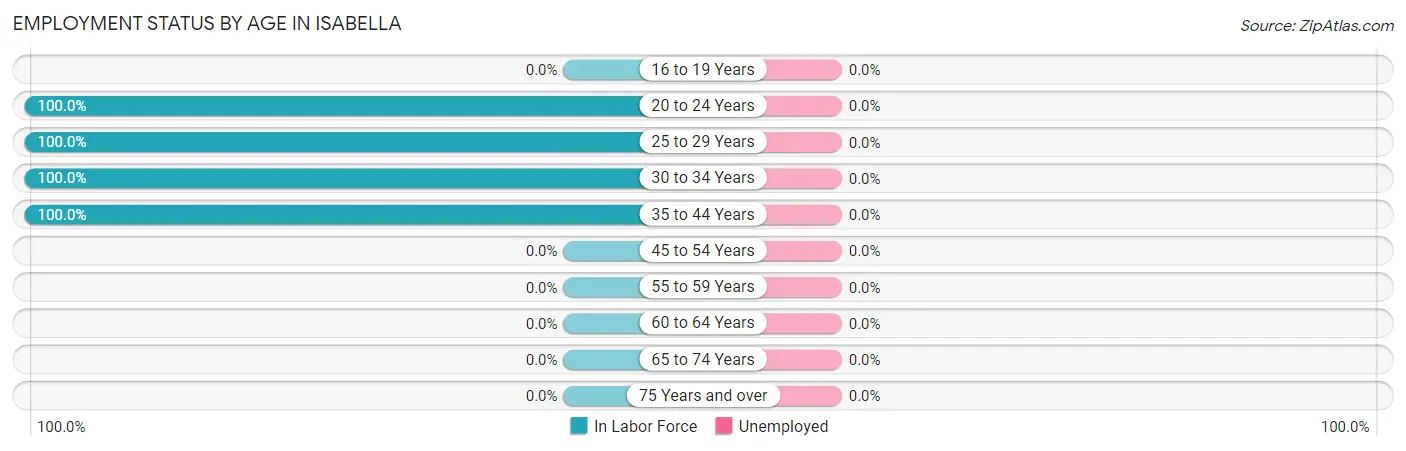 Employment Status by Age in Isabella