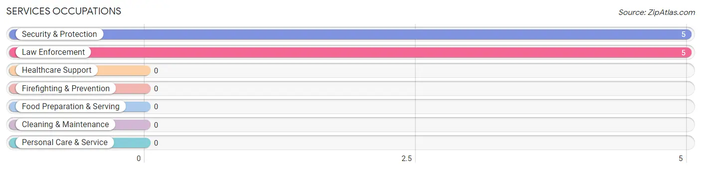 Services Occupations in IXL