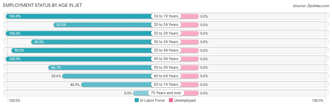 Employment Status by Age in Jet