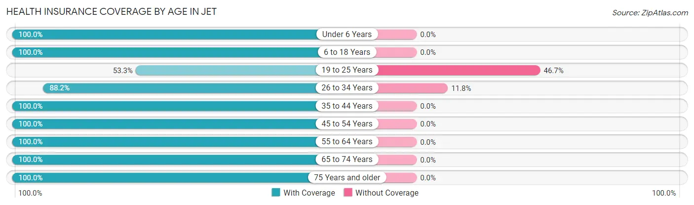 Health Insurance Coverage by Age in Jet