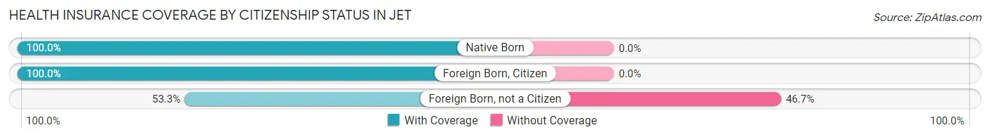 Health Insurance Coverage by Citizenship Status in Jet