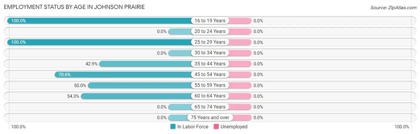 Employment Status by Age in Johnson Prairie