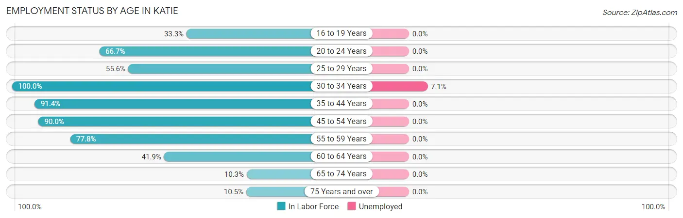 Employment Status by Age in Katie