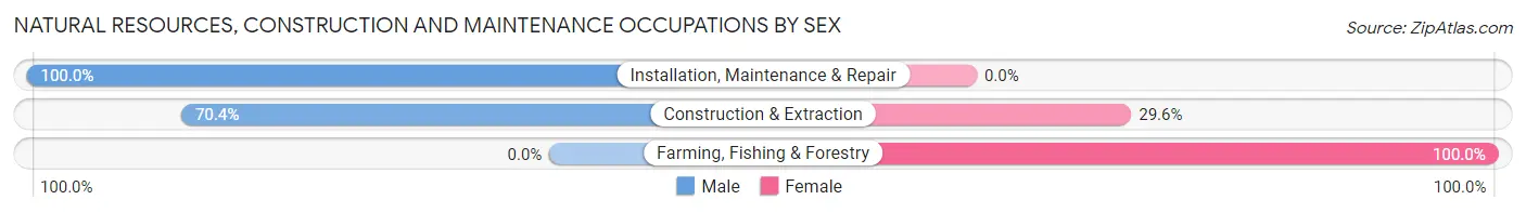 Natural Resources, Construction and Maintenance Occupations by Sex in Keefton