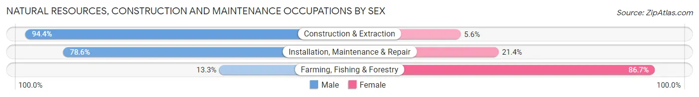 Natural Resources, Construction and Maintenance Occupations by Sex in Kenwood