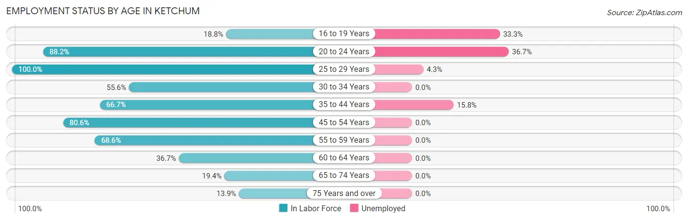 Employment Status by Age in Ketchum