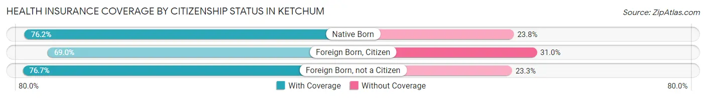 Health Insurance Coverage by Citizenship Status in Ketchum