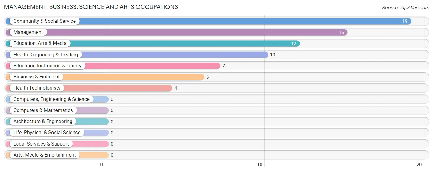 Management, Business, Science and Arts Occupations in Ketchum