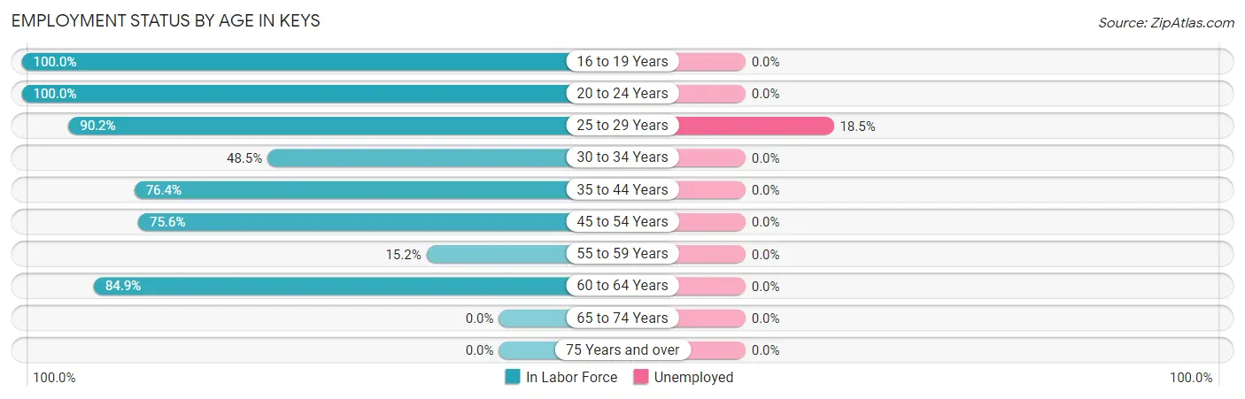 Employment Status by Age in Keys