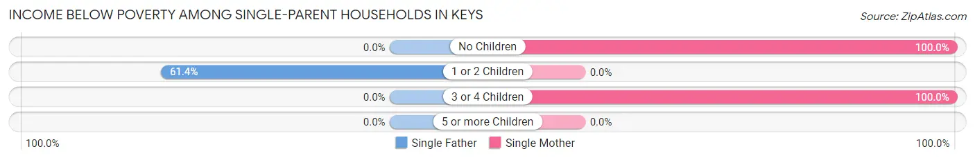 Income Below Poverty Among Single-Parent Households in Keys