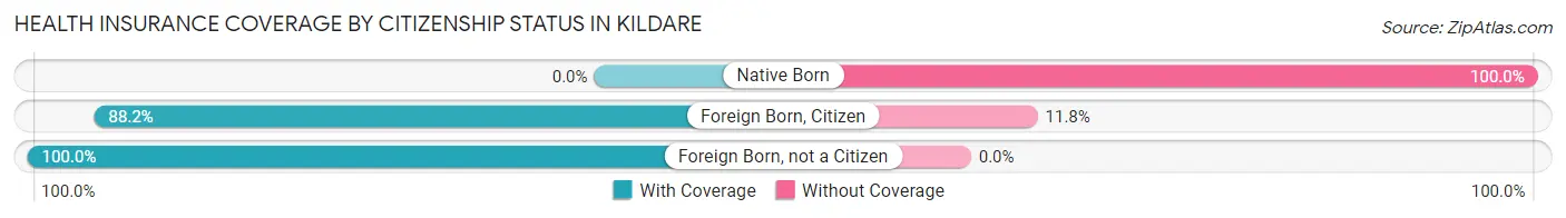 Health Insurance Coverage by Citizenship Status in Kildare