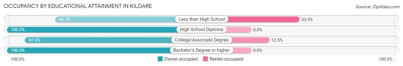 Occupancy by Educational Attainment in Kildare