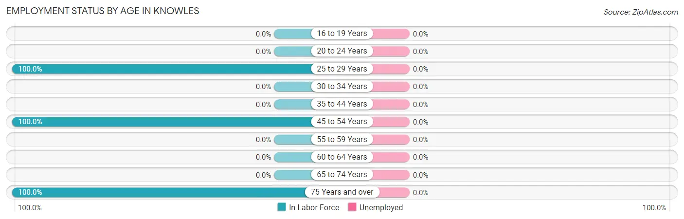 Employment Status by Age in Knowles