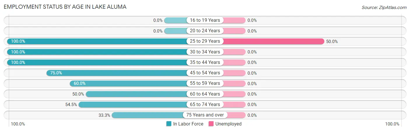 Employment Status by Age in Lake Aluma