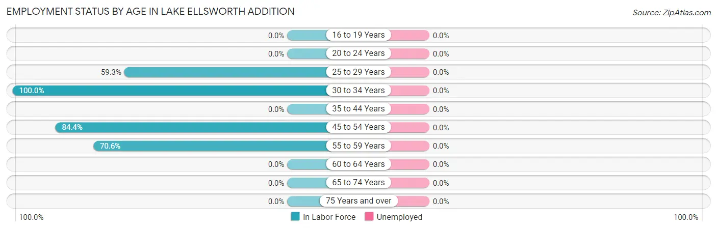 Employment Status by Age in Lake Ellsworth Addition