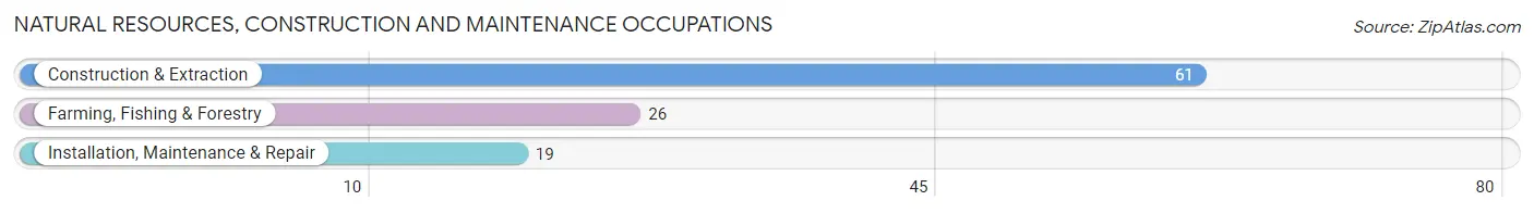 Natural Resources, Construction and Maintenance Occupations in Laverne