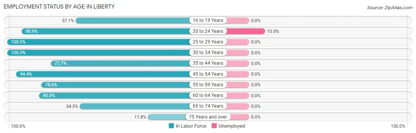 Employment Status by Age in Liberty