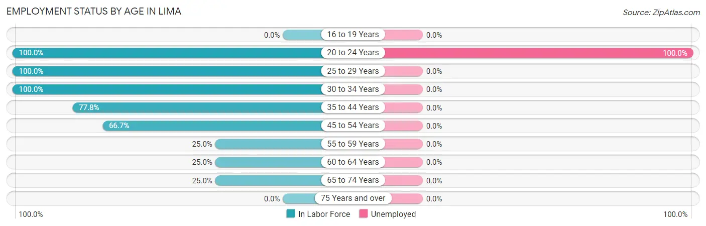 Employment Status by Age in Lima