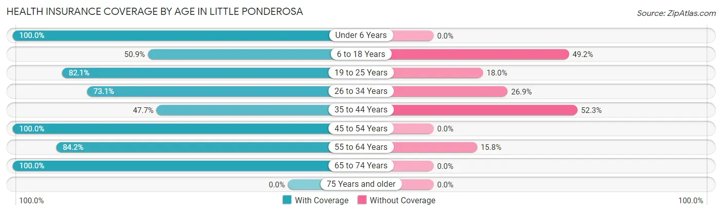 Health Insurance Coverage by Age in Little Ponderosa