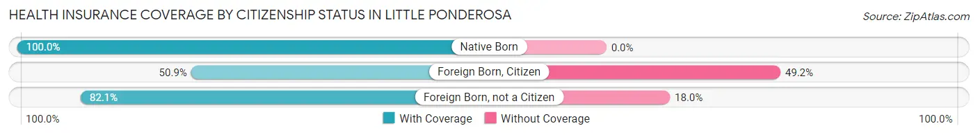 Health Insurance Coverage by Citizenship Status in Little Ponderosa