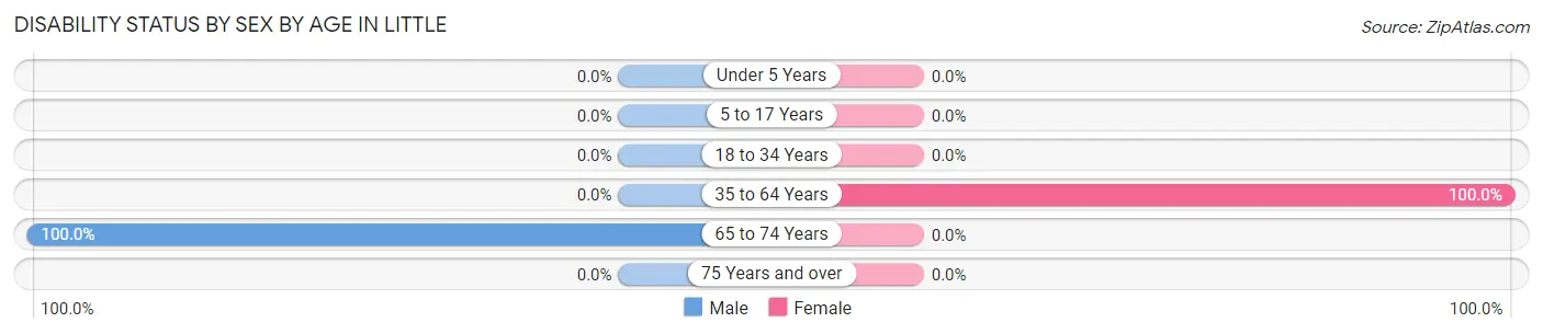 Disability Status by Sex by Age in Little