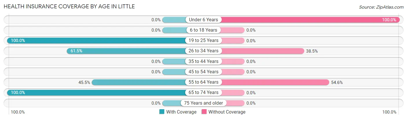 Health Insurance Coverage by Age in Little