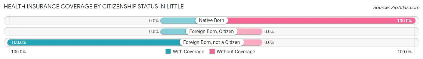Health Insurance Coverage by Citizenship Status in Little