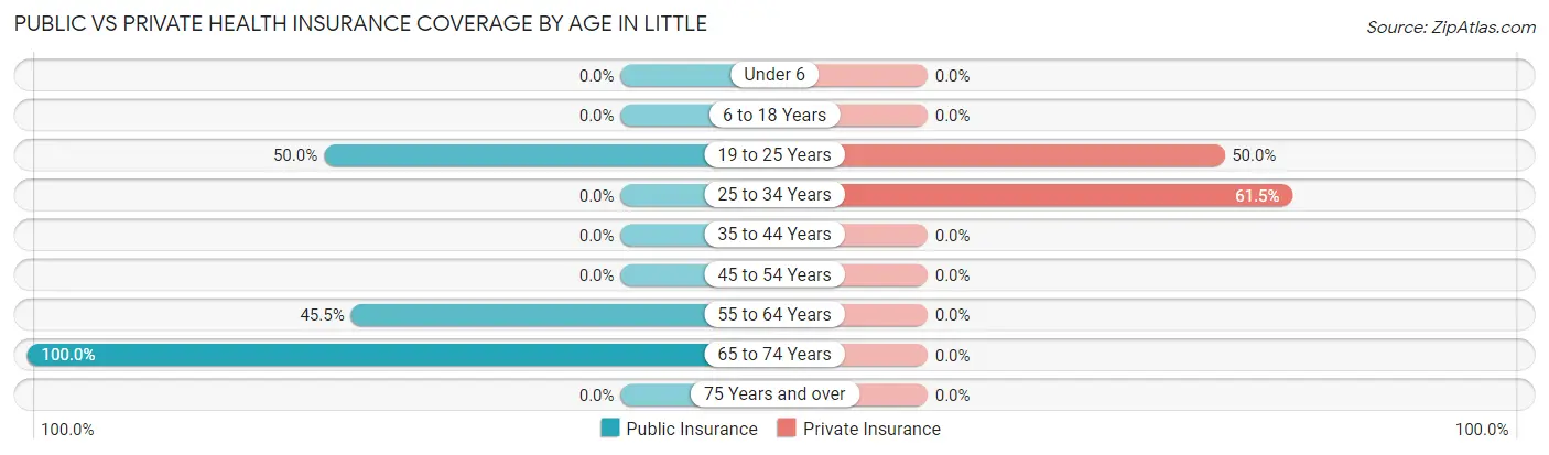 Public vs Private Health Insurance Coverage by Age in Little