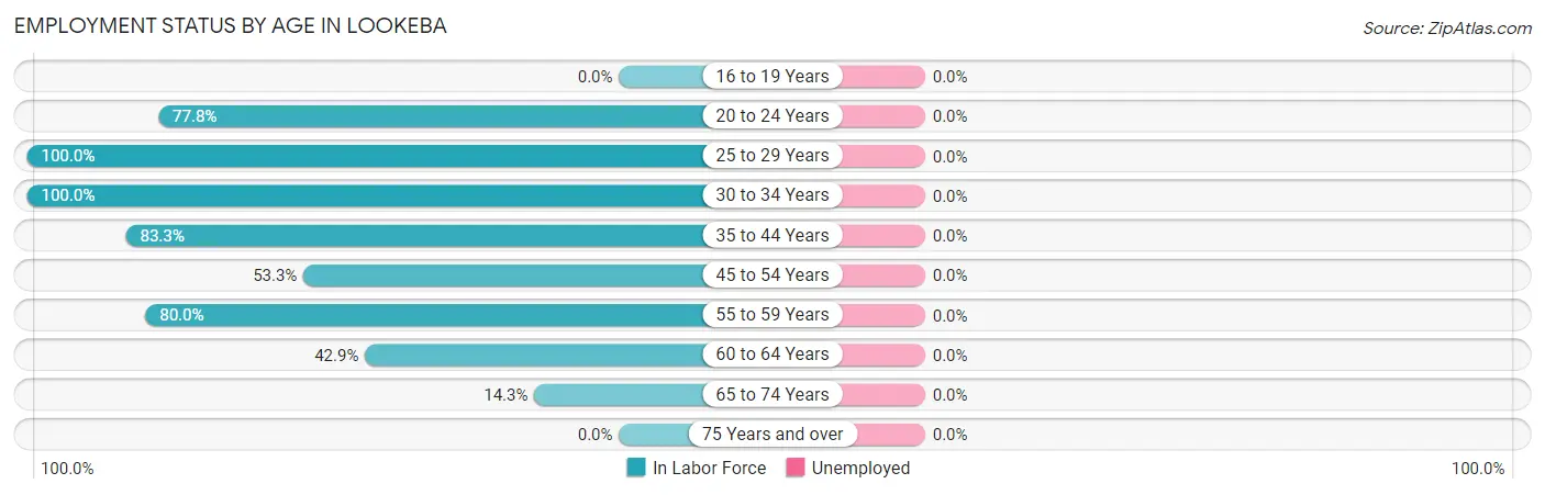 Employment Status by Age in Lookeba