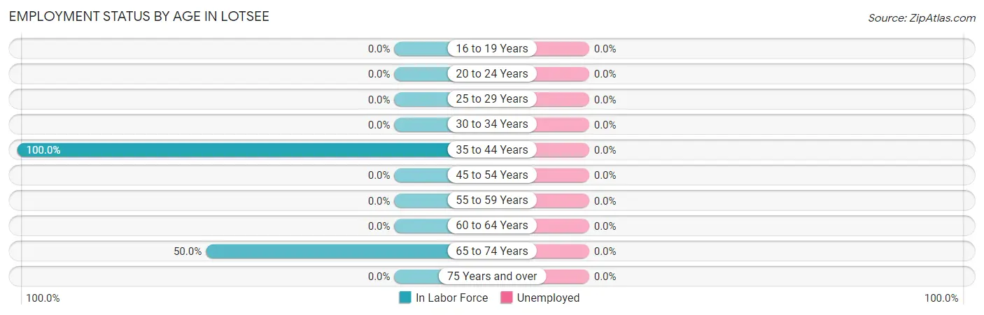 Employment Status by Age in Lotsee