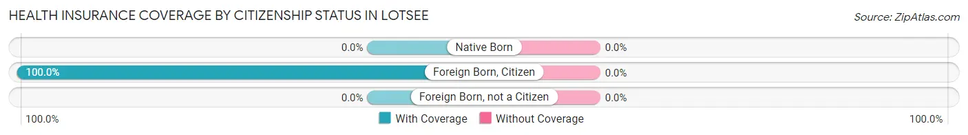 Health Insurance Coverage by Citizenship Status in Lotsee
