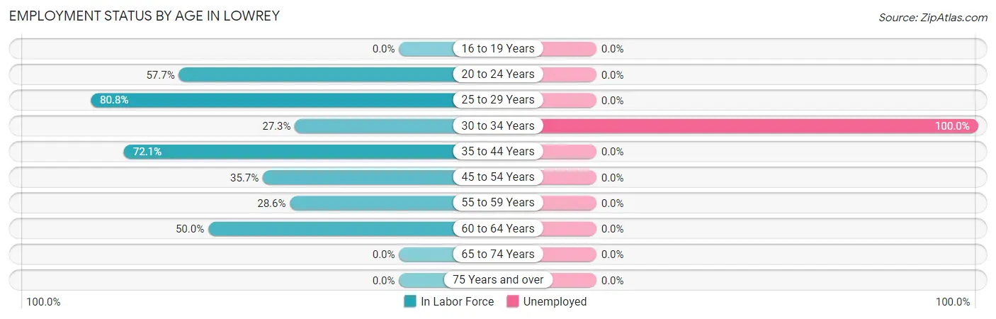 Employment Status by Age in Lowrey