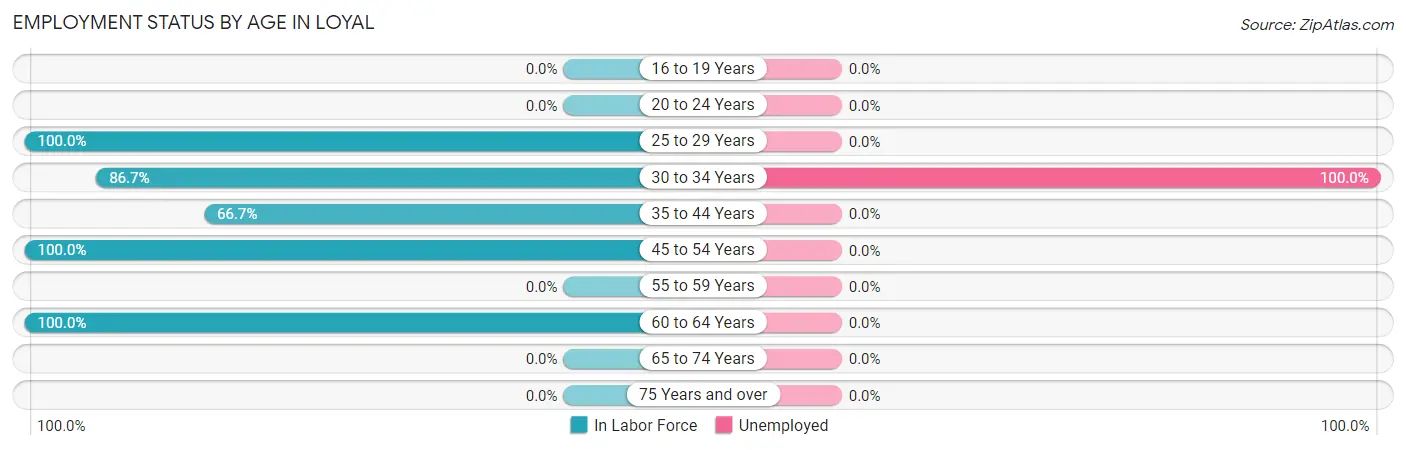 Employment Status by Age in Loyal