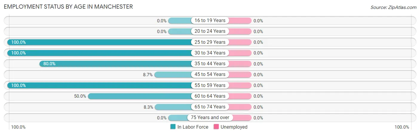 Employment Status by Age in Manchester