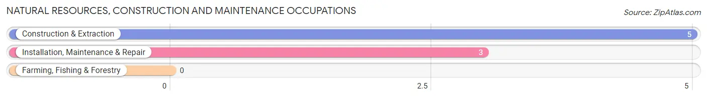 Natural Resources, Construction and Maintenance Occupations in Martha