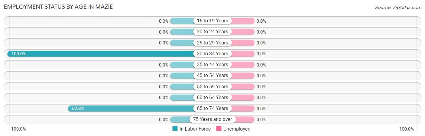 Employment Status by Age in Mazie