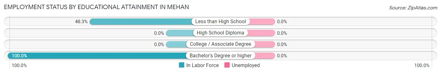 Employment Status by Educational Attainment in Mehan