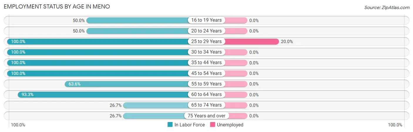 Employment Status by Age in Meno