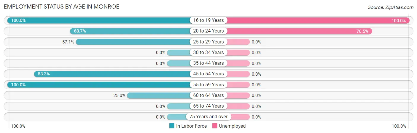 Employment Status by Age in Monroe