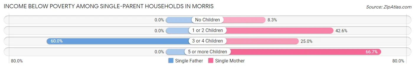 Income Below Poverty Among Single-Parent Households in Morris