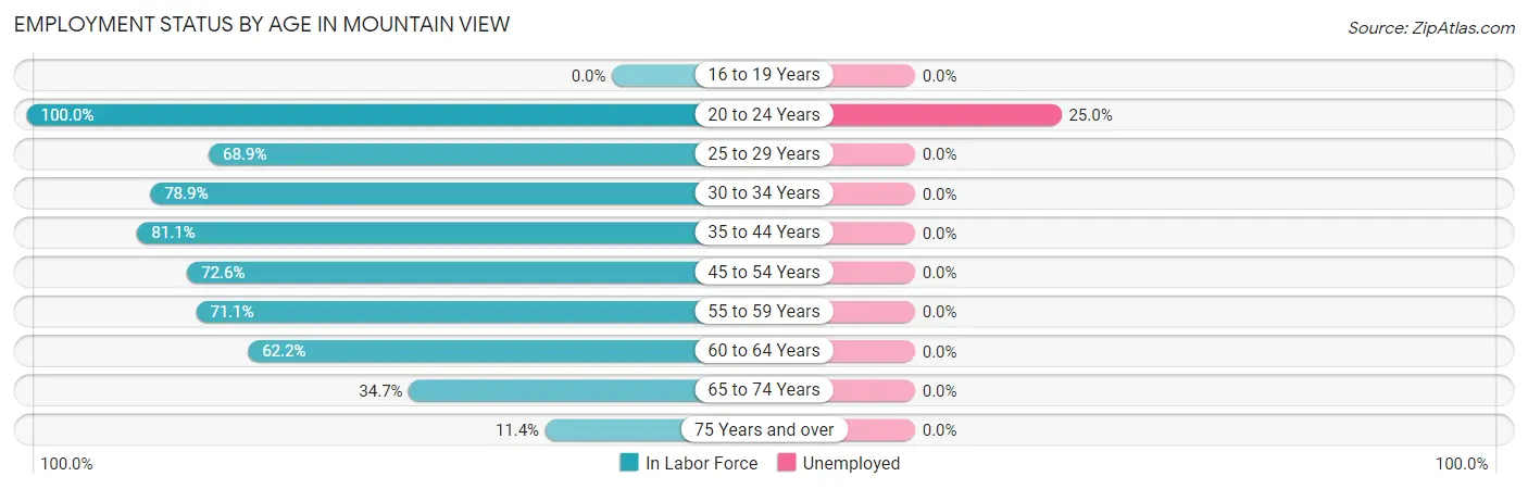 Employment Status by Age in Mountain View
